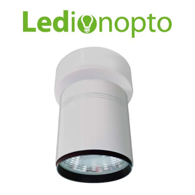 Luz led Ledion Blanco Clido 17W 220 V