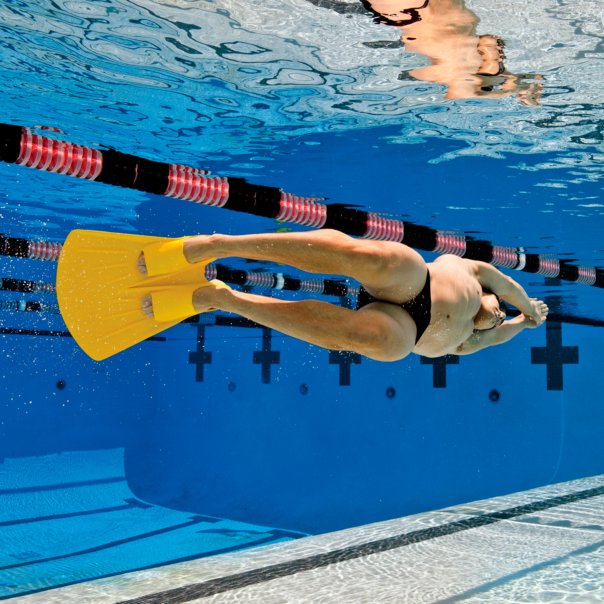 Monoaleta Finis - XS
