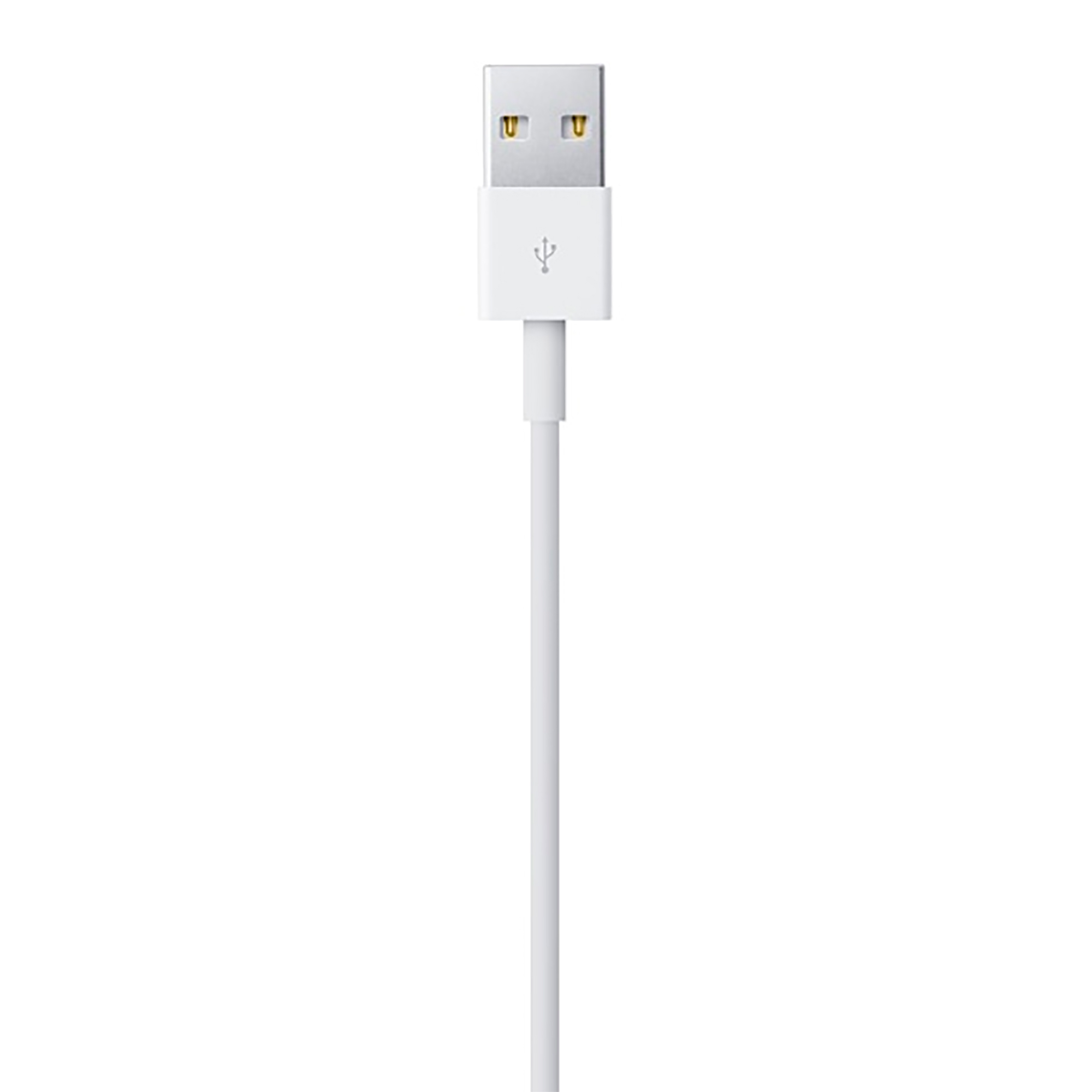 Cable Apple Conector Lightning A Usb 2m