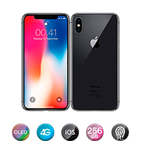 IPX256GBSGYRFAA