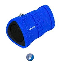 TYWSP100L