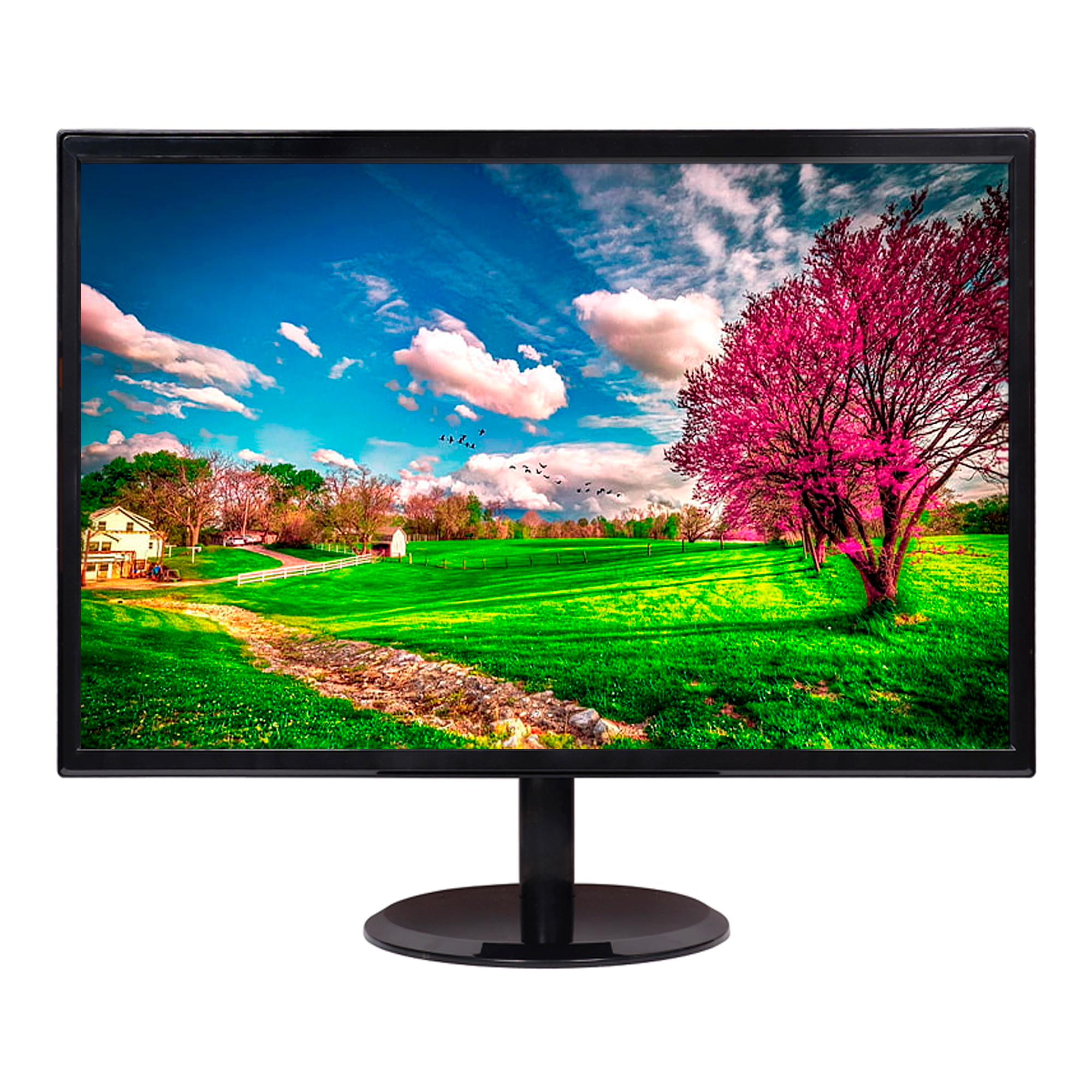 Monitor Mio-lcd 19´ Led 1440p 60hz 5ms