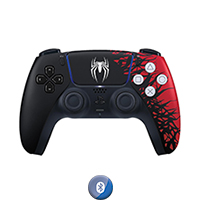 PS5DSSPM2