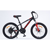 TZ10020BKRD