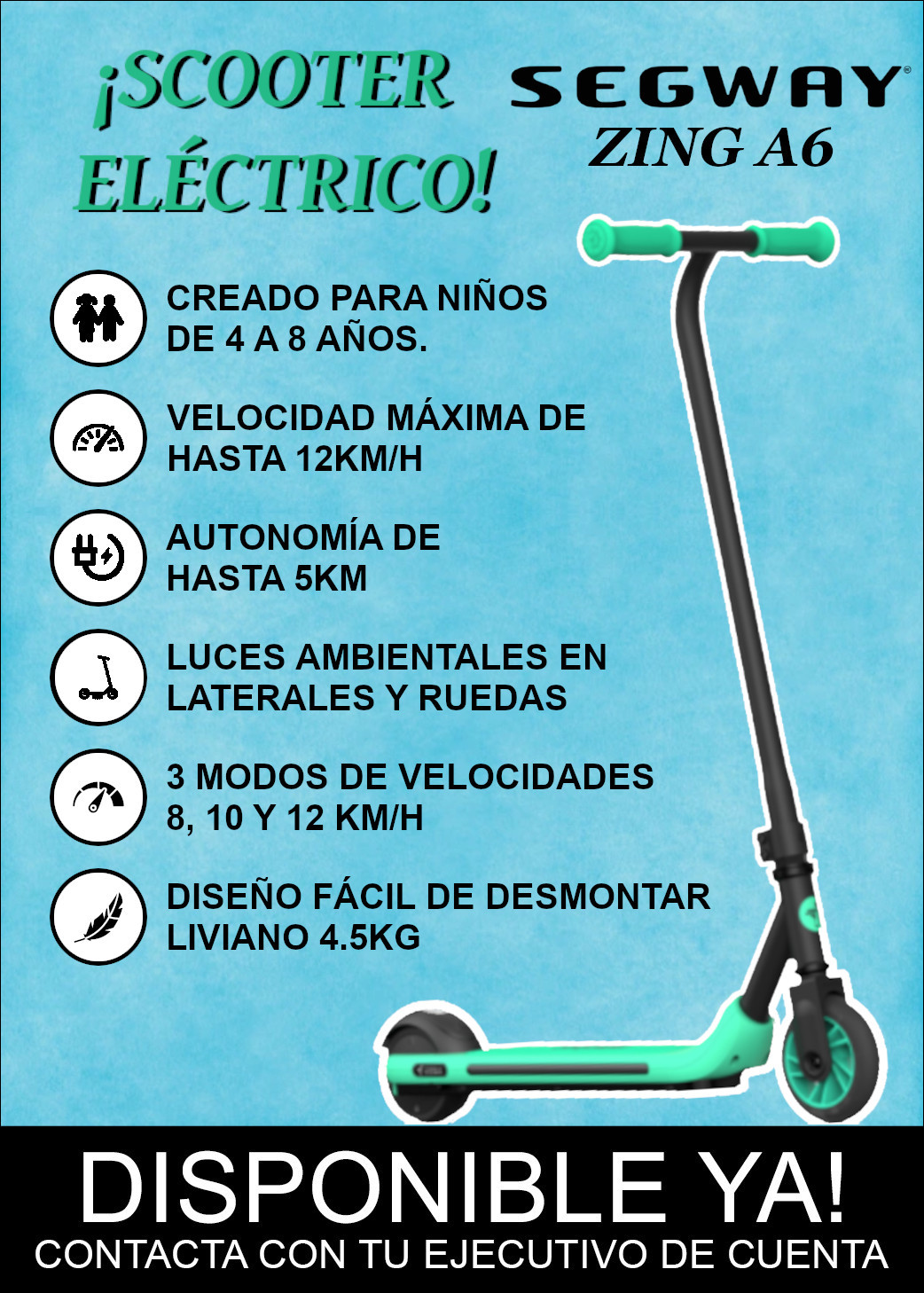 ZING_A6_SEGWAY