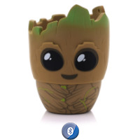 BB5GROOT