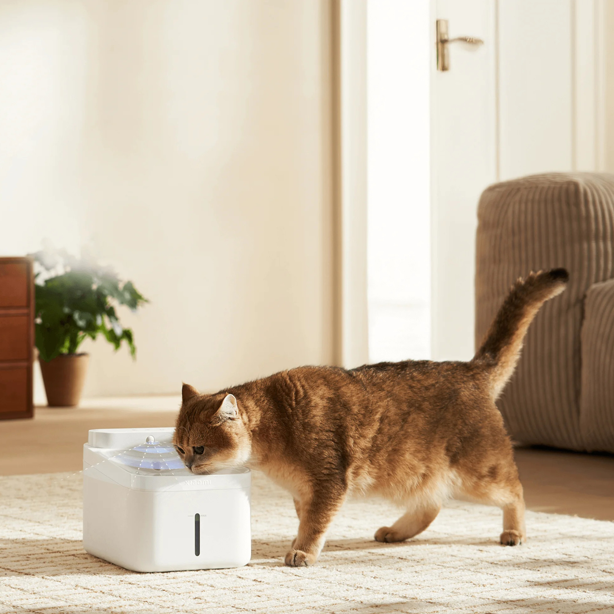 Fuente De Agua Inteligente Para Mascotas Xiaomi Pet Fountain