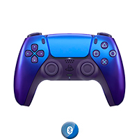 PS5DSCAIN