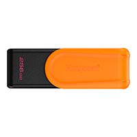 DTXS256GB