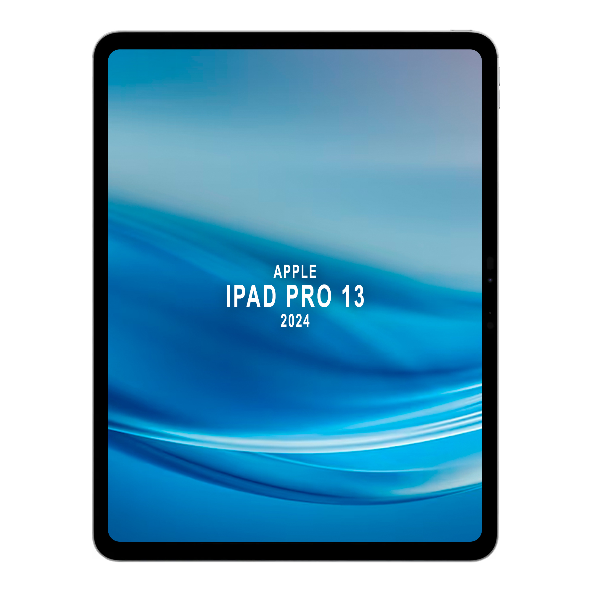 iPad Pro 13 Apple 13'' M4 8gb 256gb iPadOS26 12mp+12mp